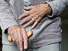 Ученые: удаление аппендикса увеличивает риск Паркинсона в три раза