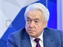 Экс-депутат рады Олейник заявил об усталости украинцев от речей Зеленского