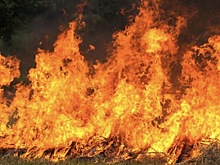 В Новосибирской области за сутки произошло 10 пожаров и возросло число ДТП