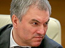 Правда или «информационный терроризм»? Как в сети отреагировали на статью о «бонапартизме» Володина