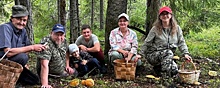 В Новгородской области популярным видом досуга стал сбор грибов