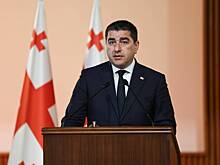 В Грузии заявили о желании ЕС установить демократию при помощи танков