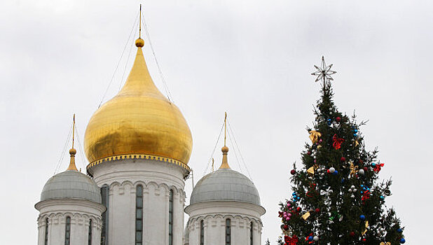 Кремль украсит вековая ель