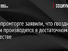 В Минпромторге заявили, что гвозди в России производятся в достаточном количестве