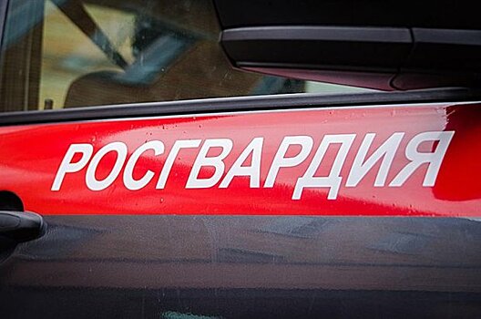 В Пушкино в выходные росгвардейцы задержали подозреваемых в кражах из торговых центров