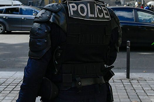 После поджога парижского банка Павленского могут из Франции депортировать
