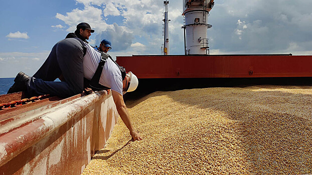 Источник: Турция ведет переговоры с ООН по возобновлению зерновой сделки