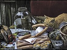 Орловцы показали заповедные места родного края