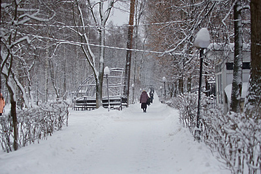 Синоптики обещают жителям Московского региона теплый и необычно снежный февраль