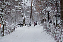В Москве выпадет до полуметра снега