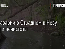 Из-за аварии в Отрадном в Неву потекли нечистоты