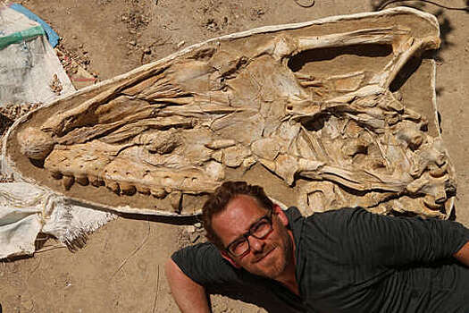 Биологи обнаружили останки древней гигантской морской ящерицы