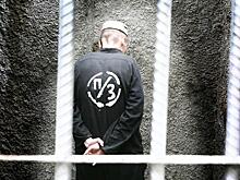 Нужно ли ввести в России смертную казнь за убийство детей?