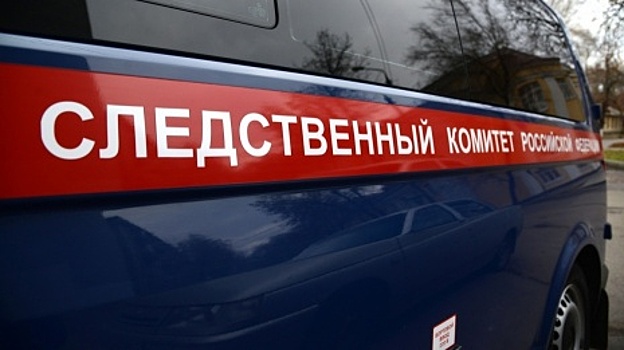 Напавшего с мачете на сотрудника МЧС приговорили к 9 годам колонии