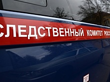 Напавшего с мачете на сотрудника МЧС приговорили к 9 годам колонии