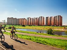 Расходы на зелень