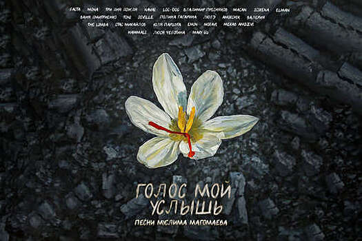 Песни из альбома "Голос мой услышь" вошли в топ-10 в VK Музыке и Яндекс Музыке после теракта