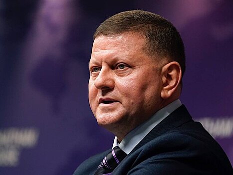 Экс-главком ВСУ Залужный рассказал о работе секретного штаба в Висбадене