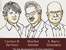 Нобелевская премия по химии-2022 присуждена за клик-химию