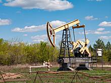 В России предложили лишить нефтяников обещанных льгот ради экономии бюджета