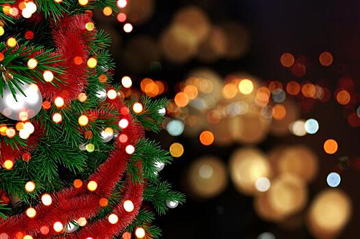 На Новый год Хабаровск украсит новая 20-метровая елка