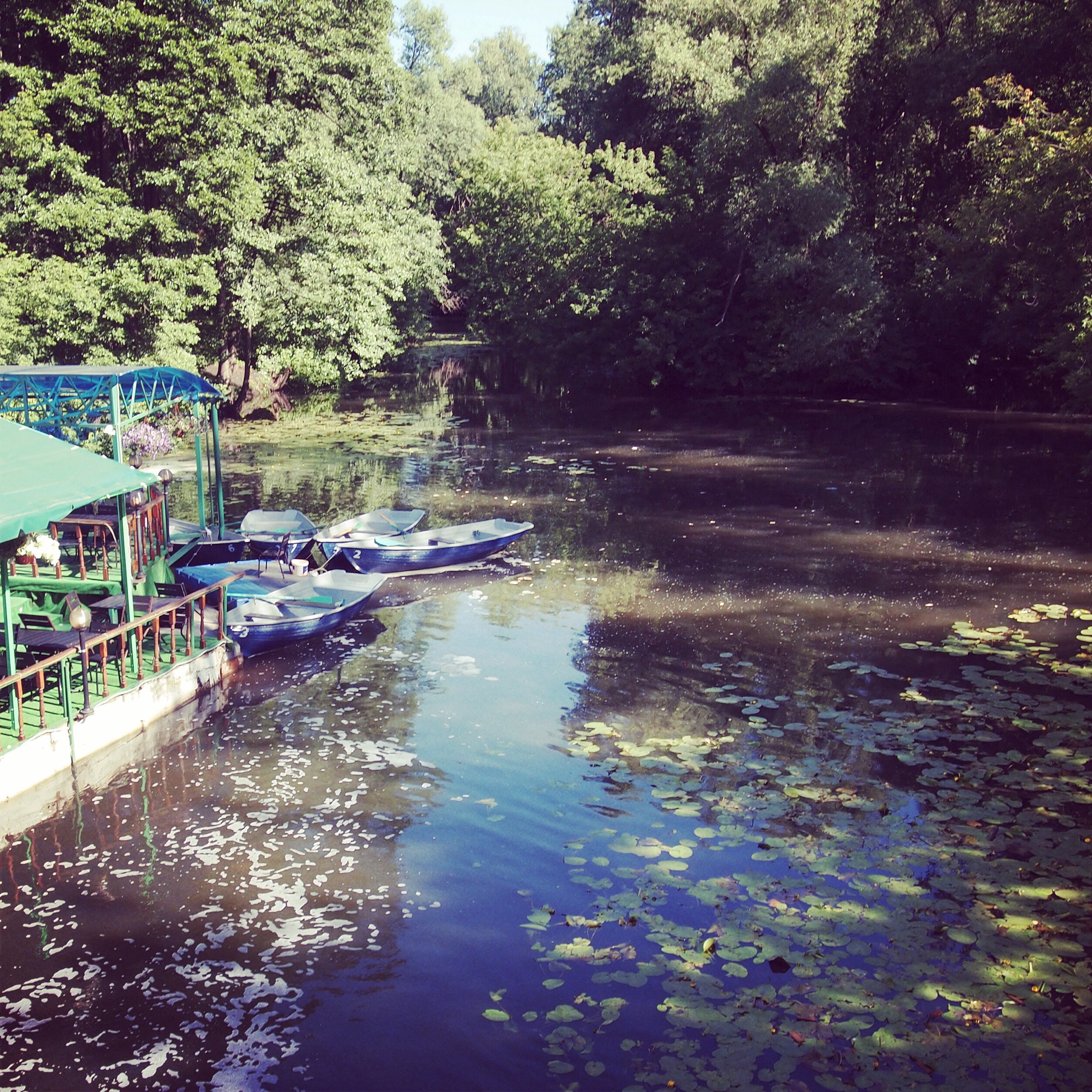 Парк Кузьминки, Москва, Россия, Европа