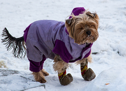 Становится еще холоднее: на Кузбасс ночью обрушатся морозы до -42°C