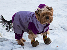 Становится еще холоднее: на Кузбасс ночью обрушатся морозы до -42°C