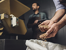 Российский зерновой союз усомнился в корректности данных Минсельхоза по объему урожая зерновых