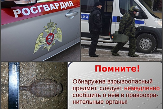 «Думал, что камень»: в Башкирии житель деревни нашел гранату