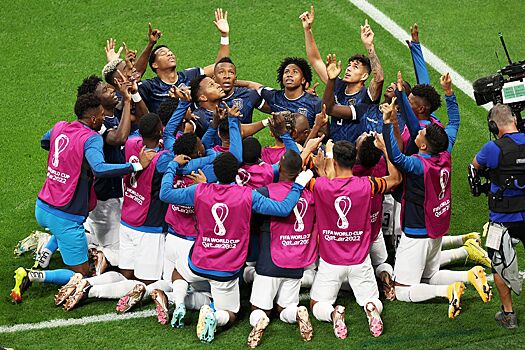 Нидерланды — Эквадор — 1:1, обзор и статистика матча, 25 ноября 2022 года, чемпионат мира по футболу