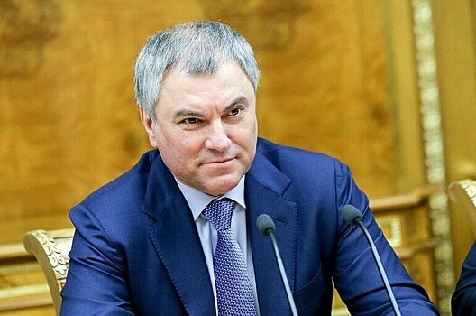 Володин рассказал, сколько обращений депутаты направили в Генпрокуратуру с начала года