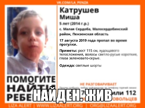 Пропавший в Пензенской области 5-летний мальчик найден живым