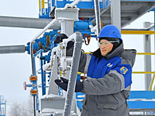 Политической подоплеки точно нет? Кремль отверг связь между остановкой транзита в ФРГ и «Северным потоком-2»