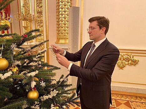 В Нижегородской области можно получить льготную новогоднюю ёлку
