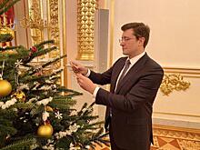 В Нижегородской области можно получить льготную новогоднюю ёлку