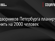 Штат дворников Петербурга планируют увеличить на 2000 человек