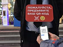 В Госдуме раскритиковали введение QR-кодов