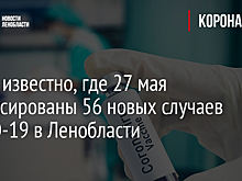 Названы населенные пункты Ленобласти с новыми случаями коронавируса