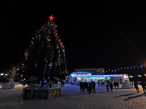 «Раньше ставили, и ничего!»: между жителями Шимановска разгорелся спор из-за искусственной ели на Новый год