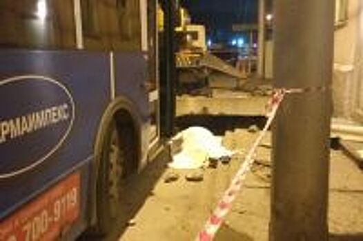 Бетонная плита упала на женщину-водителя и ее автомобиль в Новосибирске