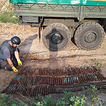 Сотни взрывоопасных предметов нашли на приусадебном участке под Харьковом