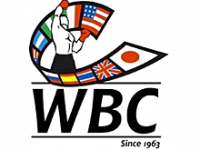 Обновился рейтинг WBC: пока что без Саши Поветкина