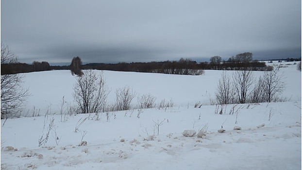 В Кировской области на полевой дороге перевернулся ребёнок на снегоходе