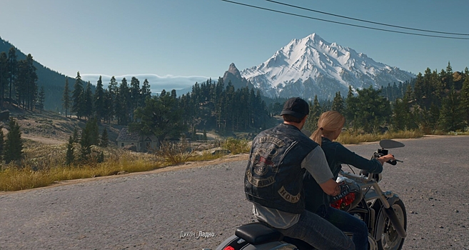 Порт, за который не стыдно. Обзор версии Days Gone на ПК