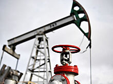 В Чехии заявили о прекращении поставок российской нефти по «Дружбе»