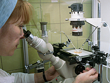 Россиянке запретили беременеть от умершего мужа