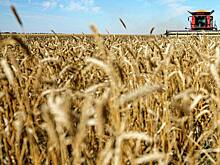 Иркутская область станет первым регионом, где пройдет Всероссийский агродиктант