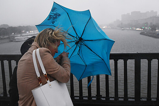 В Петербурге объявлен "желтый" уровень погодной опасности из-за сильного ветра