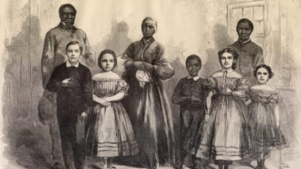 Почему белые рабы в Америке были в 10 раз дешевле черных - Рамблер/новости